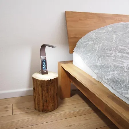 Apartmentharzgruen2 Sankt Andreasberg