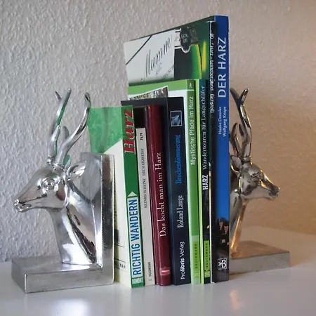 Διαμέρισμα Apartmentharzgruen2 *