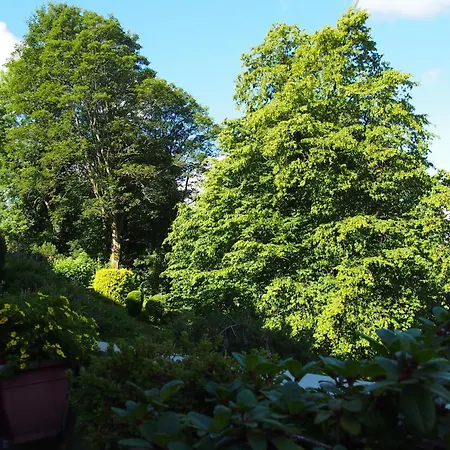 Διαμέρισμα Apartmentharzgruen2