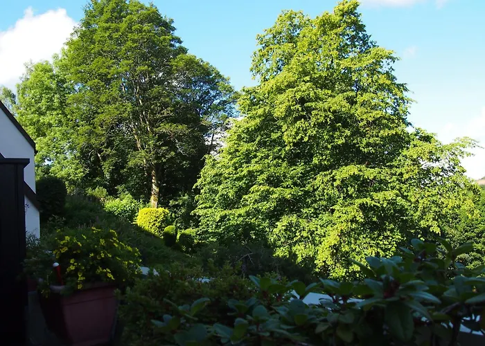 公寓 Apartmentharzgruen2